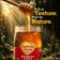 Saffola Honey Active, Made with Sundarban Forest Honey, No sugar adulteration, Natural Immunity booster, 250g