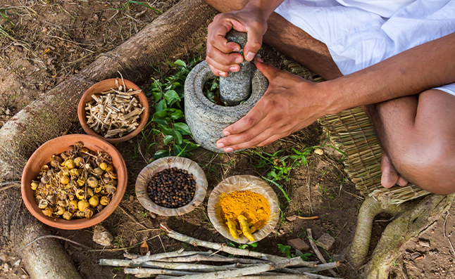 ayurvedic herbs for hair