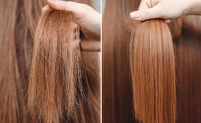 Dry Frizzy Hair vs Healthy Hair 