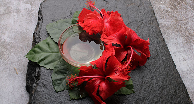 Benefits of Hibiscus & Ways to Use it on Your Hair – MyCocoSoul